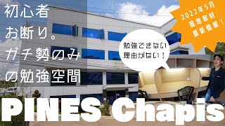 【PINES Baguio Chapis】留学の目的は英語の勉強です、と言い切れる人のみの特別キャンパス。日本人スタッフ居ません。【フィリピン留学】