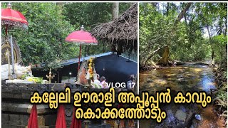 KALLELI OORALI APPOOPPANKAVU KONNI ||കല്ലേലി ഊരാളി അപ്പൂപ്പൻകാവും കൊക്കത്തോട് എന്ന ഗ്രാമവും | VLOG17