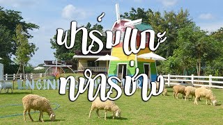 ฟาร์มแกะทหารช่าง ค่ายจิรประวัติ นครสวรรค์ ( Engineer Sheep Farm )