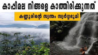 Refresh Your Mind - The Best Scenic  Spot In Kannur | കാപ്പിമല | ഒടുവള്ളിതട്ട് View point | Vlog 5