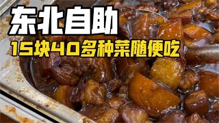 15块40多种菜！自助！随便吃！你们感觉值不值？【咪西裴裴】