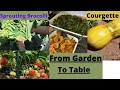 Garden To Table - Harvest Of Yellow Courgette | Sprouting Brocolli | Garden Peas | Strawberries