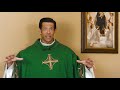 twelfth sunday in ordinary time mass with fr. mike schmitz