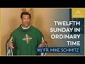 Twelfth Sunday in Ordinary Time - Mass with Fr. Mike Schmitz