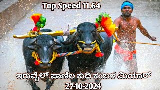 Irvail Panila Kudhi kambala @Miyar 2024