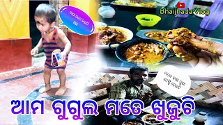 ଆମ ଗୁଗୁଲ ଘର କାମରେ ଆମକୁ ବହୁତ ସାହାଯ୍ୟ କରୁଛି  Jajpur Dhabare Motan Kadei/#BhaijhadaVlog