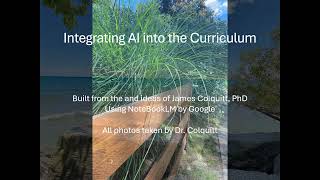 Integrating AI into the Curriculum