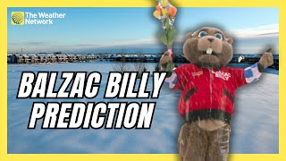 Alberta's Own Balzac Billy Makes His Prediction In Frigid Temperatures | #groundhogday