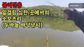 [붕어전층] 밑걸림 심한 곳에서의 소꼬즈리(두바늘 바닥낚시)