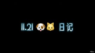 21.11.21 🐶🐱 日记 —— 《山河令》大结局 武库删减片段语音 + 采访 + 9.19 Ins 绿洲照片