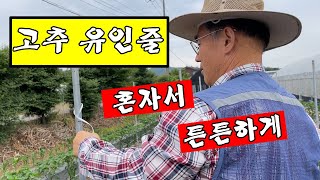 [고추농사]유인줄 혼자서 튼튼하게 묶기