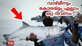 വാഴ്മീൻ പിടുത്തവും, പല്ലിക്കോര ചാകരയും / Catchig Threadfin Salmon and Silver croaker fish.