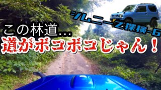 【ジムニーで探検⑥】山口県周南市の舗装ボコボコな林道…