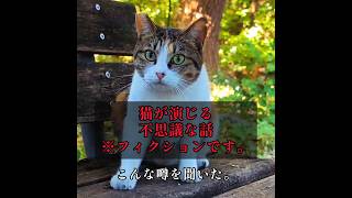 恐怖の人口知能【ネコが演じる 都市伝説 NO.111】※フィクションです#shorts #猫 #ねこ