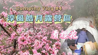 親子露營 Camping Vlog No.4 |阿爸紅茶淳風皓月露營區|隙頂二延平賞櫻步道|觀看雲海|晚餐羊肉爐