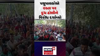 Vapi News : રસ્તા પર દૂધની નદીઓ વહી!  | Unique Protest | Milk Spilled | Cattle Breeders Protested