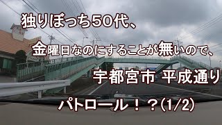 独りぼっち５０代、金曜日なのにすることが無いので、宇都宮駅市 平成通り パトロール！？(1/2)