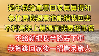 過年我搶車票回家舅舅得知，急忙要我退票他能捎我回去，不料高架上舅媽向我要搭車費，不給就把我半路丟下車，我掏錢回家後一招驚呆衆人