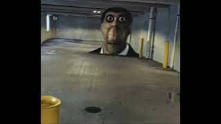 OBUNGA real life encounter