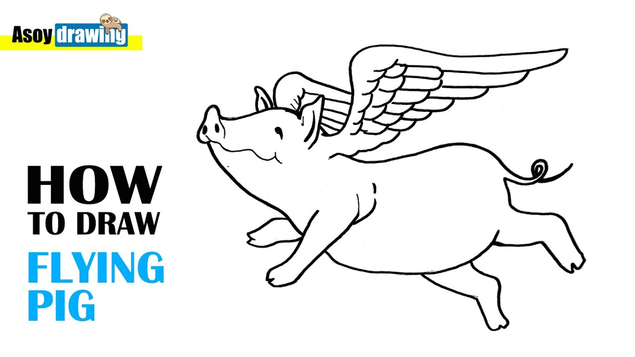 Flying Pig Sketch