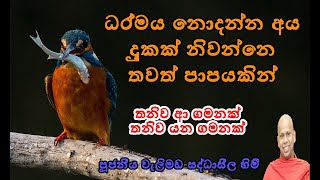 තනිව අාපු ගමනක් තනිව යන ගමනක්//පූජ්‍ය වැලිමඩ සද්ධාසීල හිමි//Welimada Saddaseela Thero