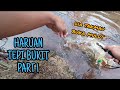 #EP648 Casting Haruan Tepi Bukit