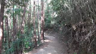 磐船大神社多分裏参道）高貴寺から歩いてみた　多分どっか村から道はあるとは思うんだけれどね