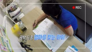 [Clear Math] 틀리는 걸 용납하지 못하는 아이 / YTN 사이언스