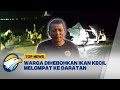 Fenomena Alam, Ribuan Ikan Naik ke Daratan [TOP NEWS]