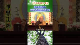 有大乘善根的人关键时候灭业障如翻大地 / 净界法师《法华经讲记》采撷 #学佛