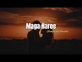 Mihiran - Maga Haree | මඟ හැරී (Slowed + Reverb) @Mr.Revibes