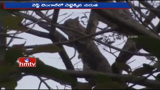 Leopard Rescued from Tree at Dhupguri Village | West Bengal | HMTV