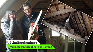 Maroden Dachstuhl retten | Dachsanierung | Dachboden ausbauen 🏡 Bauvlog #7