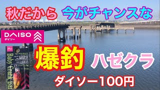 秋だから今がチャンスなハゼクラ ダイソーベビークランクベイト 三河湾 ハゼ釣り ハゼクランク