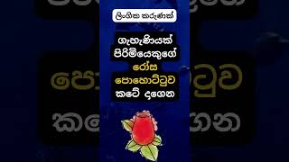 හම්බෝ දන්නවද එයාලා කරන දේ 😍😍, #psychology  #education #shorts