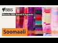 Wararka SBS Somali 8 Agoosto | SBS Somali - SBS Afsomali