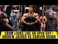 Chris Bumstead looks Massive & Ripped + Derek & Hadi training together + Andrew vs Samson + Martin