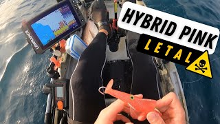 Frenesí tras el temporal [HÖWK HYBRID PINK GLITTER] jigging con vinilos •Vlog12•