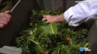 Machine turns rotten veggies into fertilizer