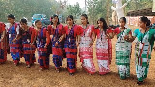 Santali New Video 2025 || KDM COLLEGE STUDENT DANCE || Tribal Santali Video ❤️ #santalivideo #video