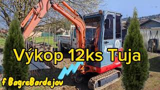 Výkop korene Tuja neskutočne silné korene | Bager  #hitachi #excavator