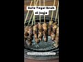 Sate Tegal Enak di Jogja #shorts #kulinerjogja