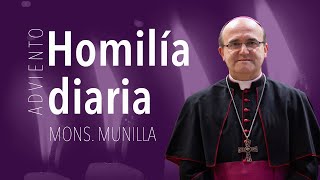 Homilía 3.12.2024 / Martes de la 1ª semana de Adviento