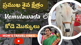 వేములవాడ రాజన్న టెంపుల్🙏🙏।। Vemulawada Rajarajeswara Swami🙏 | Full tour in Telugu @momstravelvibes