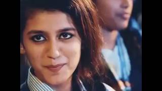 Oru Adaar Love | Manikya Malaraya Poovi Song Video| Vineeth Sreenivasan,Shaan Rahman,Omar Lulu,priya