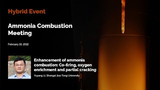 Enhancement of ammonia combustion Co firing, oxygen enrichment and partial cracking