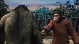 Rise Of The Planet Of The Apes Ceaser Prison Fight Telugu HD | CLASSIC SCENES