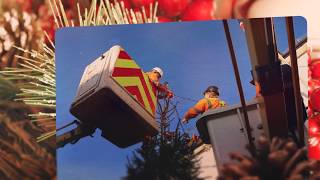 Tenterden Town Christmas Tree 2017