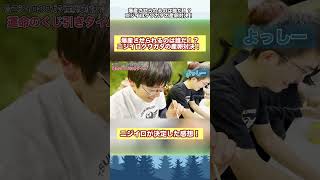 【切り抜き】爆産させられるのは誰だ！？ニジイロクワガタの産卵対決！みんなのニジイロが決定！各ニジイロへの感想！！　#カブトムシ #クワガタ #クワカブ #昆虫 #shorts