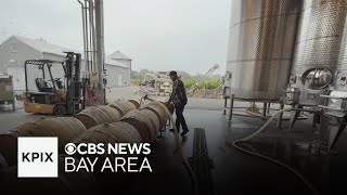 Napa County winemakers look to reset industry amid downturn